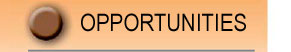 Opportunities